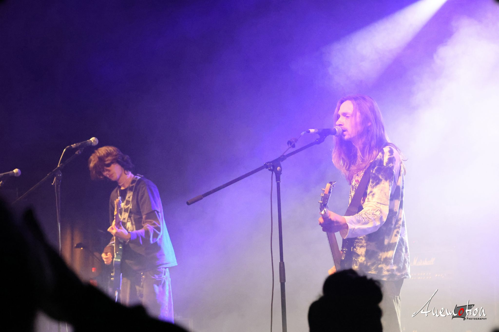 ElephantsFalling (7)